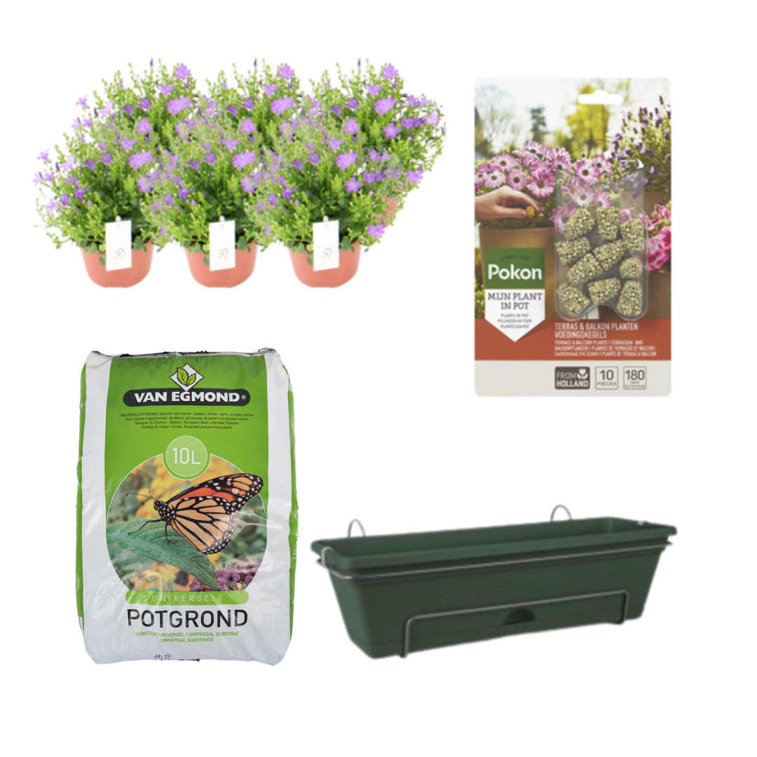 Balkonbak DIY-set groen – met Campanula – bloeiende balkonplant – complete set voor zelf beplanten