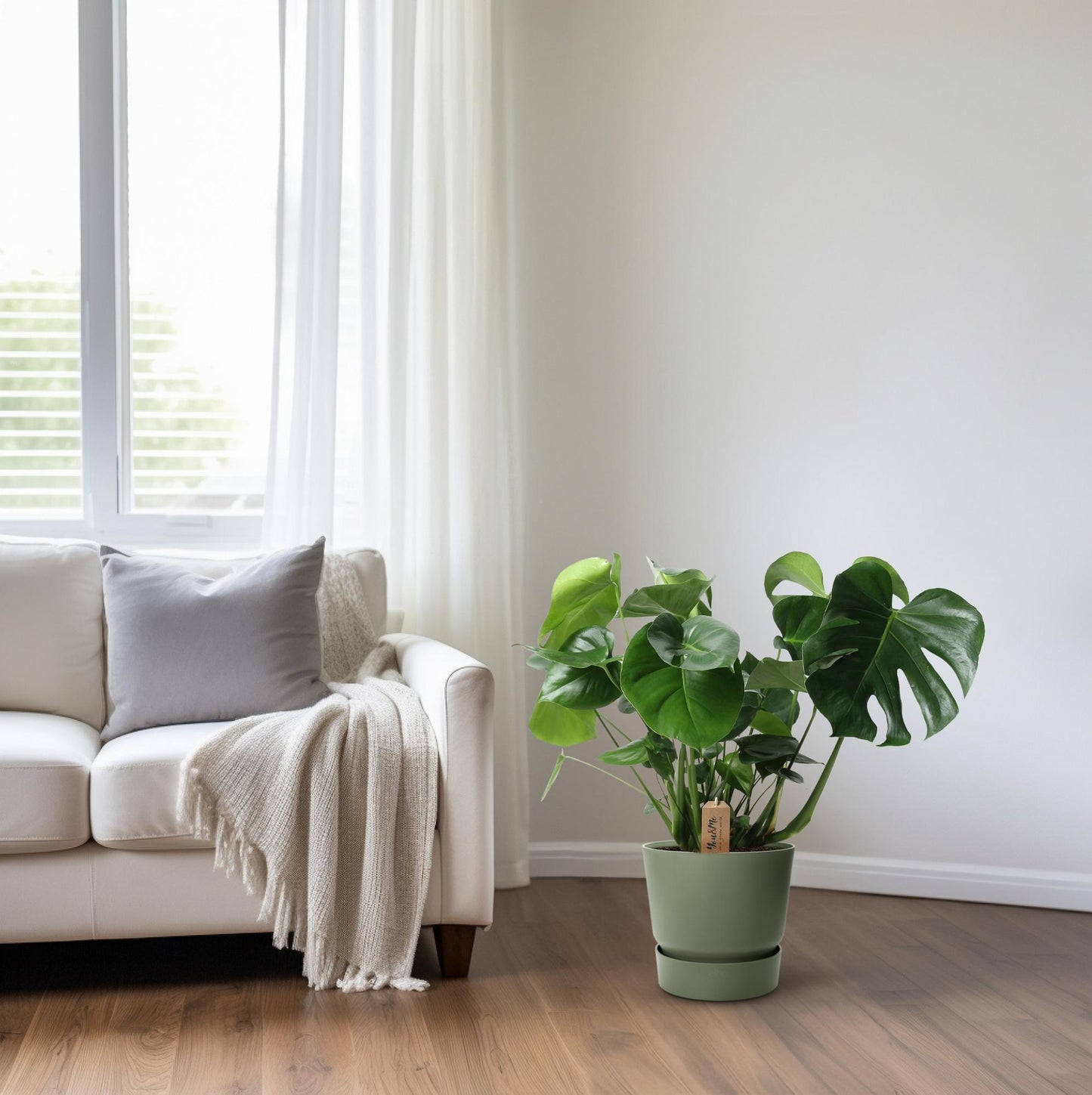 Monstera kamerplant in palmleaf basket – Ø21 cm – hoogte 60 cm – luchtzuiverend en onderhoudsvriendelijk